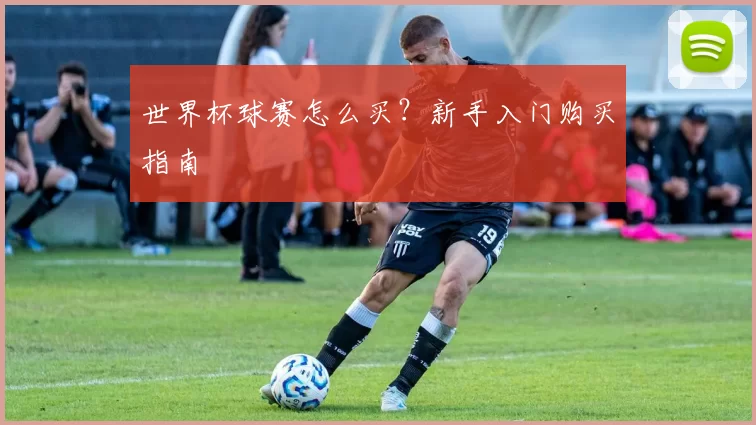 世界杯球赛怎么买？新手入门购买指南