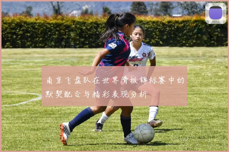 南京飞盘队在世界滑板锦标赛中的默契配合与精彩表现分析