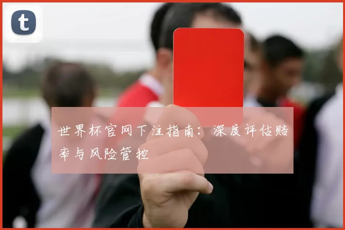 世界杯官网下注指南：深度评估赔率与风险管控