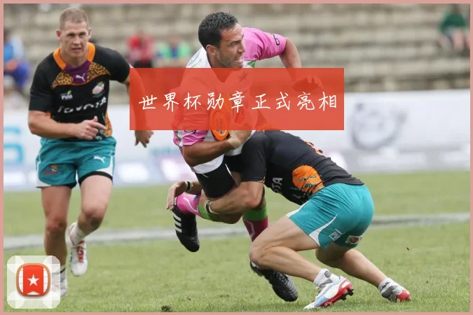 世界杯勋章正式亮相