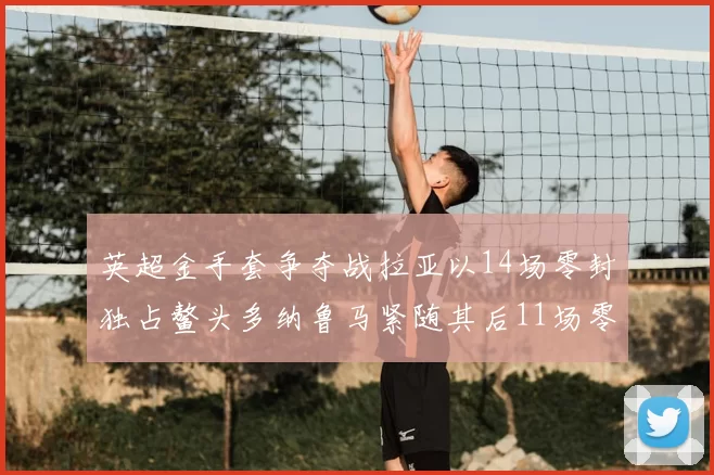英超金手套争夺战拉亚以14场零封独占鳌头多纳鲁马紧随其后11场零封