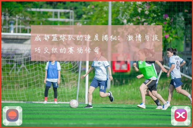 成都篮球队的速度揭秘:激情与技巧交织的赛场传奇