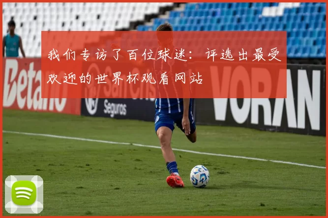 我们专访了百位球迷:评选出最受欢迎的世界杯观看网站