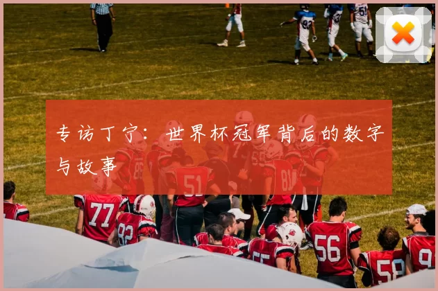 专访丁宁：世界杯冠军背后的数字与故事