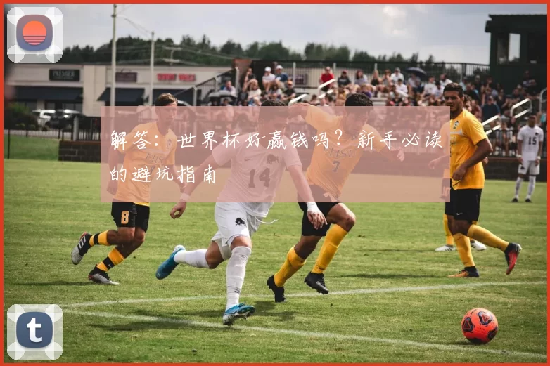 解答：世界杯好赢钱吗？新手必读的避坑指南
