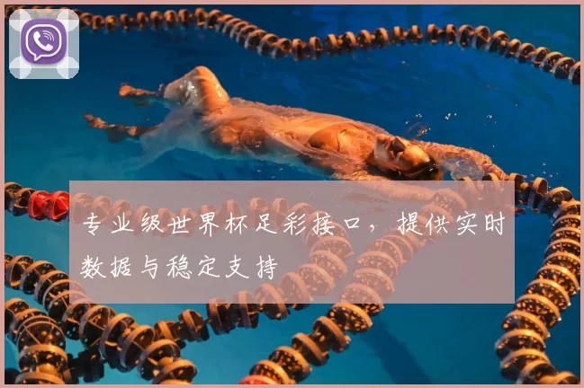 专业级世界杯足彩接口，提供实时数据与稳定支持