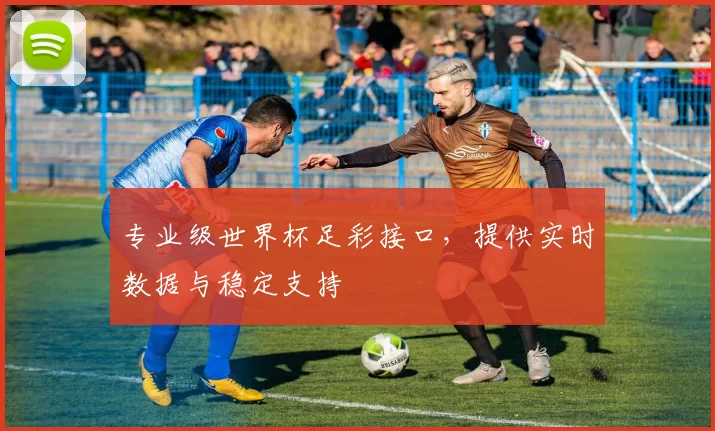 专业级世界杯足彩接口，提供实时数据与稳定支持